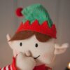 Elfo o elfa de Navidad