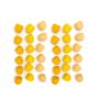Mandala-panales-amarillos-grapat-monetes05