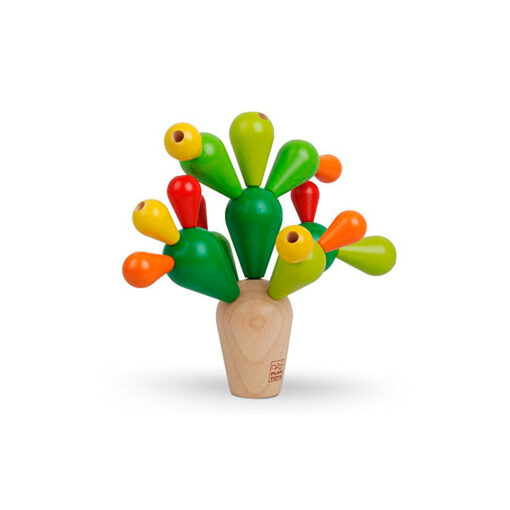 Cactus Equilibrista