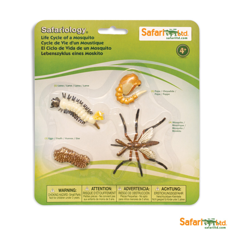Ciclo de la Vida Safari Ltd - Mosquito -
